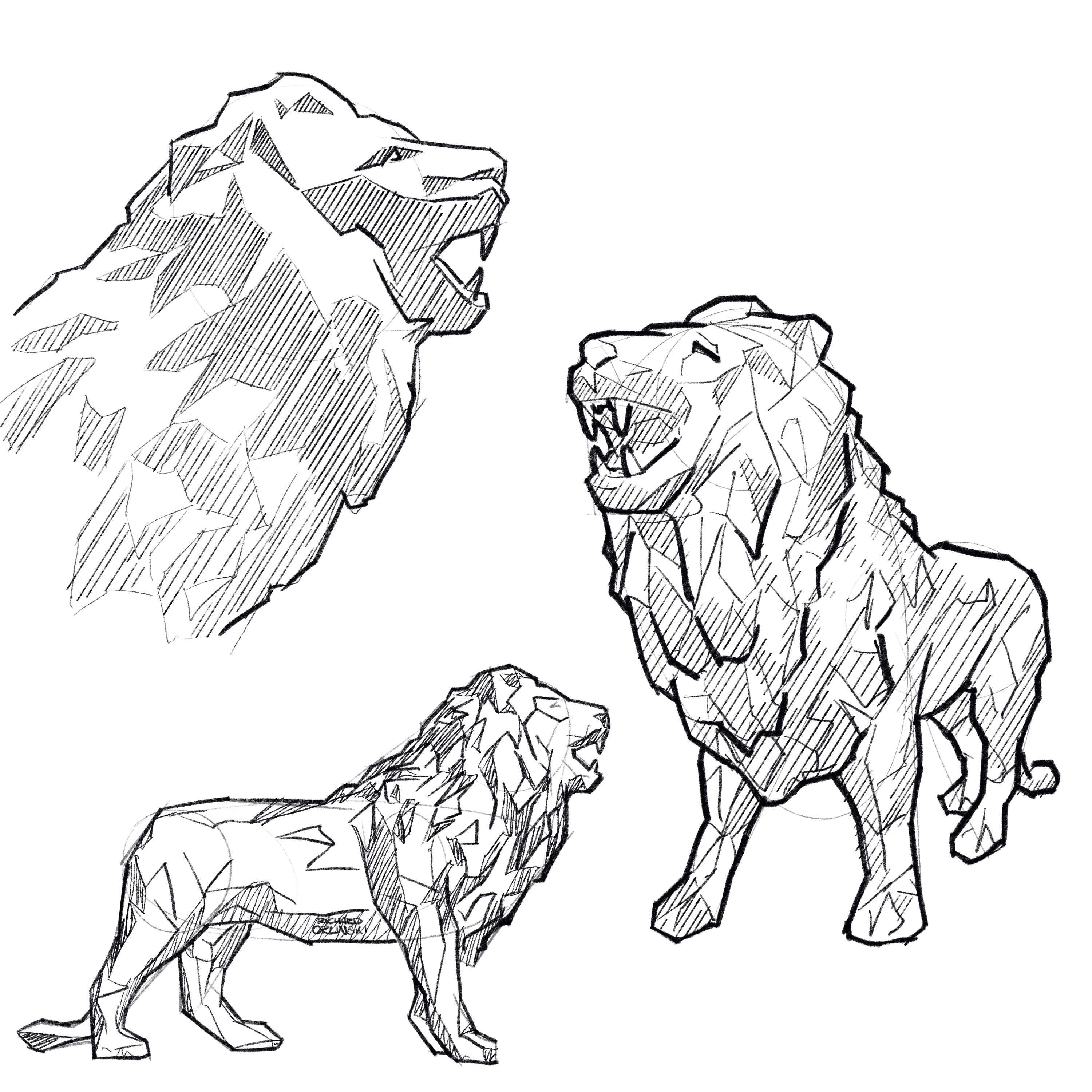 Croquis du Lion